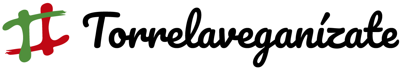 Logo Torrebici